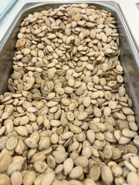 بزر بطيخ ني