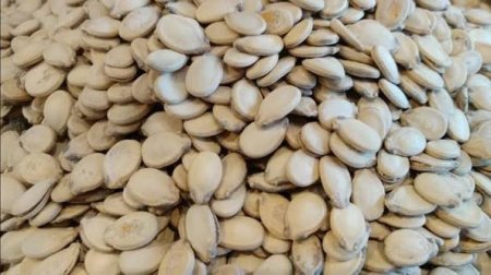 بزر بطيخ سوبر اكسترا (حبة كبيرة)