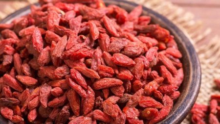 البربرين