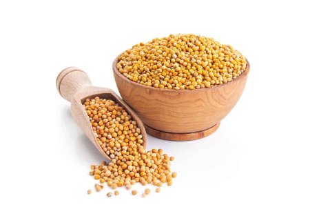 بذور الخردل