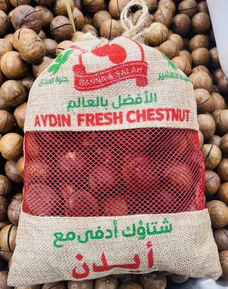 كستناء ايدن التركيه